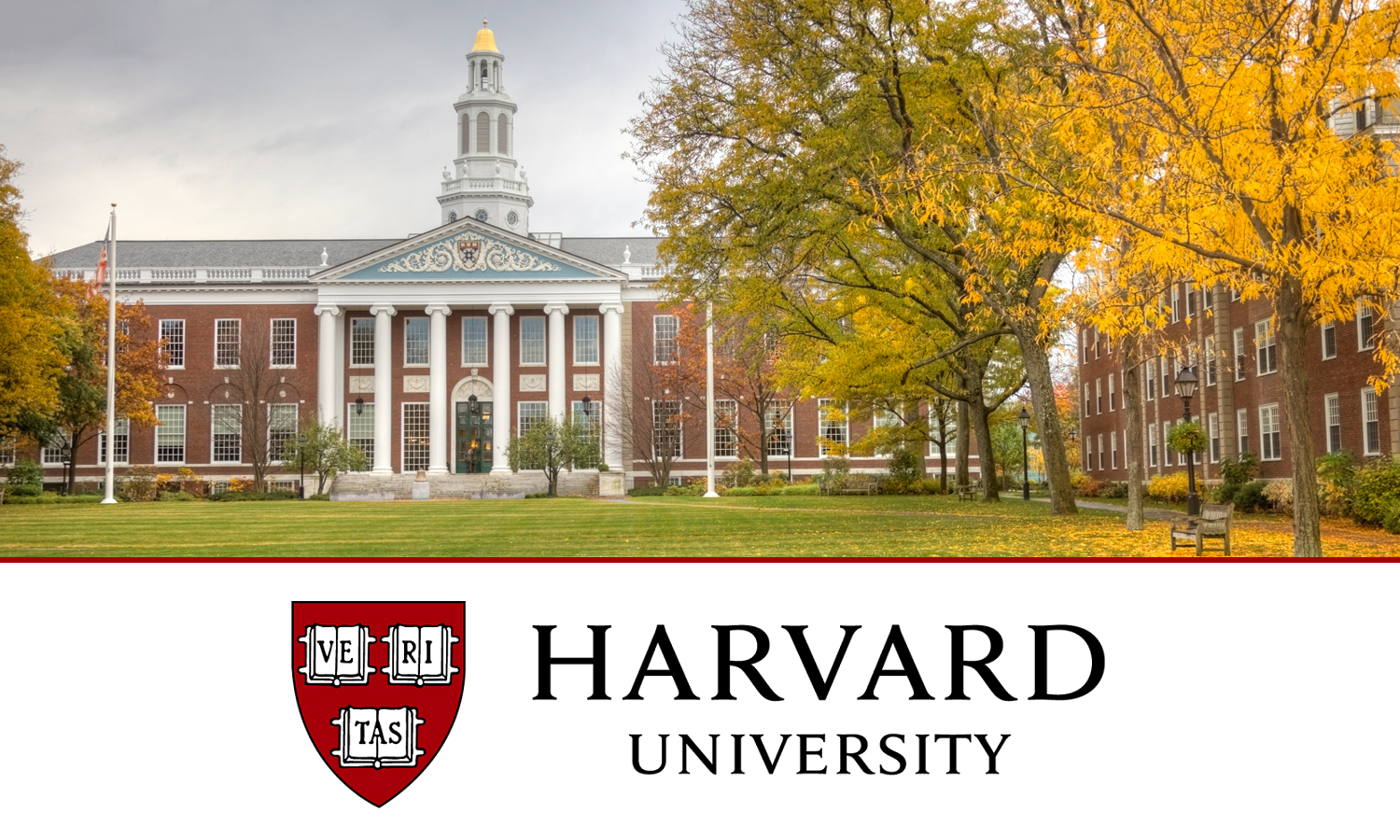 Harvard University Scholarship For International Students