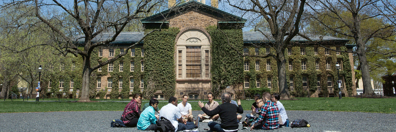 Princeton University Scholarships 2024/2025
